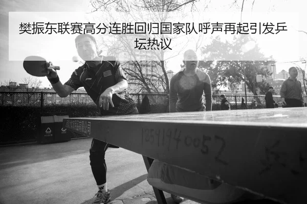 樊振东联赛高分连胜回归国家队呼声再起引发乒坛热议